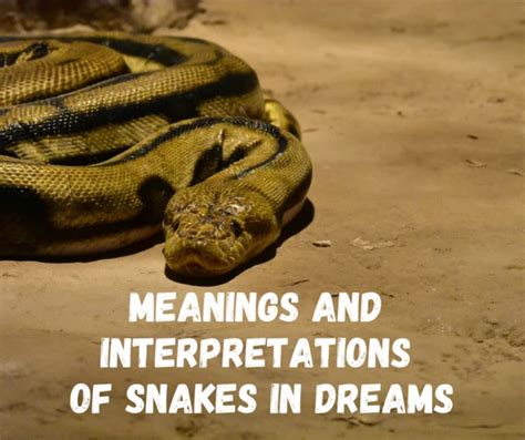 dreaming of a huge snake|dream about poisonous snake.